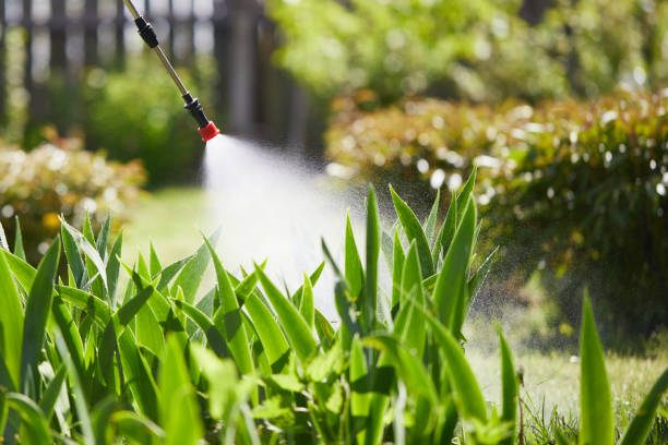 24/7 Emergency Mosquito Control experts in Effingham, IL