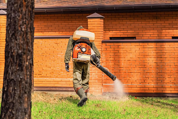 Top rated local Mosquito Control specialists in Effingham, IL